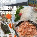 할매돌솥밥 | 연안부두 맛집 영희할매카세 물회 새우 소금구이 돌솥밥 60첩반상 인천항구횟집