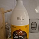 풀돌나무 이미지