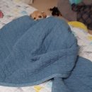 그루밍 플래너 이미지