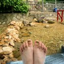 긴고랑지구 이미지