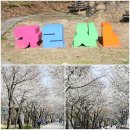 양평생활체육공원(배드민턴장) | 서울근교 여행 양평 벚꽃 갈산공원 벚꽃 개화시기