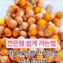 김성원농장 이미지