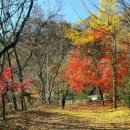 원일가마솥설렁탕 이미지