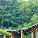 두꺼비로70번길(3-249) | 1박 2일 파주 웰니스 여행 수영장 + 황토펜션 &amp; 임진각 평화곤돌라 힐링하기