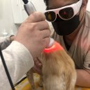 민트동물병원 이미지