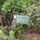 용암2리 | 아버지를 생각하며 한 제천의 산행