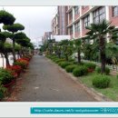 월곡초교 이미지