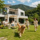 슬로우스테이_서면 | 강아지와 함께 떠나는 2026 여름휴가 🐶｜애견동반 펜션 추천, 가격, 체크사항, 꿀팁
