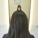 도유보네르 이미지