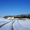 즐거운 자동차 마을 이미지