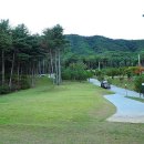 알프스농원 캠핑장 이미지