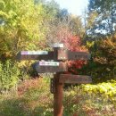 대전둘레산길(12구간) 이미지