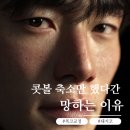 강남세련성형외과의원 이미지