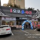 오포도소매