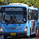 유림-1095 이미지