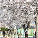 제방안길 이미지