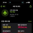 그릭핏
