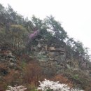 라하농장 이미지