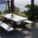 느티나무집펜션 이미지