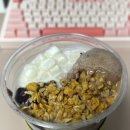 트랜스옥션 | 메가커피 컵빙수 팥빙 젤라또 파르페 칼로리, 후기