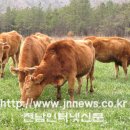 제일수도 전남인터넷신문