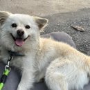 건재로L 이미지