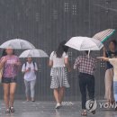 소나기성인용품 이미지