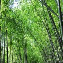 엿장수 민박 이미지