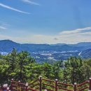 대전둘레산길(1구간) | 대전둘레산길 제1구간(금동고개-오도산-보문산-청년광장)