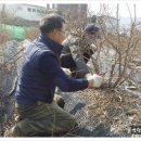 부영농장3 이미지