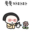 이든플라워 - 화성시 덕고개길 18 | 이든플라워