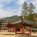 속리산 법주사 이미지