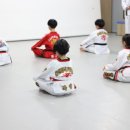 용인대 석사 화랑 태권도장 이미지