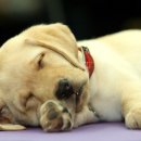 보라매전자 이미지