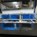해수로참가자미 이미지