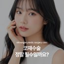 신세계성형외과의원 | 센텀성형외과에서 짚어보는 코재수술, 정말 필수일까요?