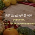 지디에스컨설팅