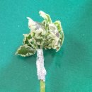 G2107 네이버블로그