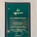 아이워즈그린(I was green) 이미지