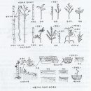 삽목방법의 종류 이미지