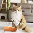 고구마 사세요 ㅡㅡ;;;; 이미지