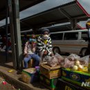 코로나19 이후 경제 전망 이미지