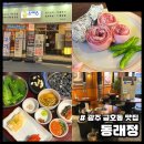 광주 금호동 맛집 동래정 금호점 미갈매기 애호박고추장찌개 후기