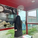 버스승강장 이미지