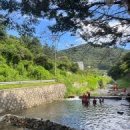 장흥참숯가마 이미지