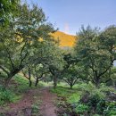 호석농장 이미지