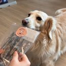 개들의대모 수제간식 | 인천 애견 수제 간식 / 멍이네이야기, 배달 가능한 강아지 수제간식