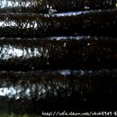 웰빙김밥 티스토리