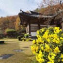 한옥솔솔 이미지