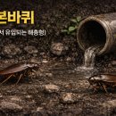 에스에스사업단